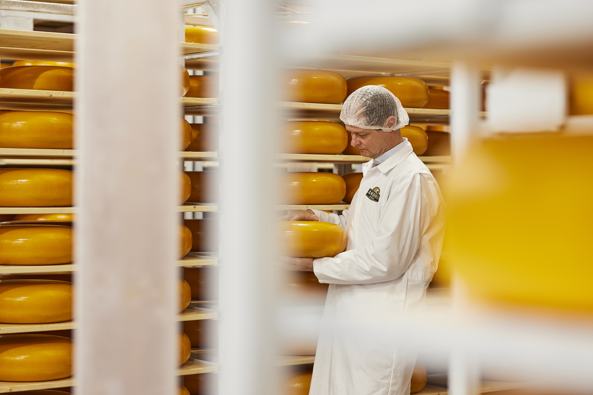 Des fromages sans lactose Fromage Flandrien Fromage Gouda, fromage belge, fromagerie